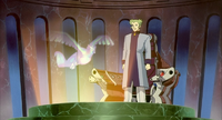 Lawrence III observando a Articuno.