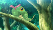 EP1209 Caterpie.png