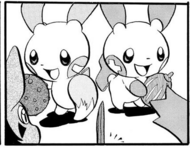 Minun le entrega una baya Ango al Mudkip de Ruby/Rubí