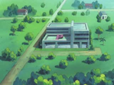 Centro Pokémon local