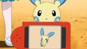 Minun en la Pokédex.