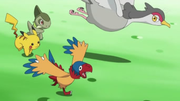 EP699 Archen, Pikachu, Axew y Tranquill.png