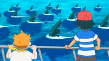 Sharpedo