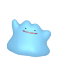Ditto HOME variocolor.png