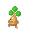 Bonsly HOME.png