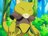 Abra