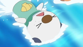 Oshawott nadando boca arriba.