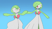 EP1108 Gardevoir y Ditto.png