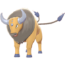 Tauros