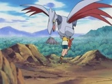 Skarmory