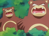 Ursaring