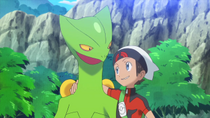 Imagen de Sceptile
