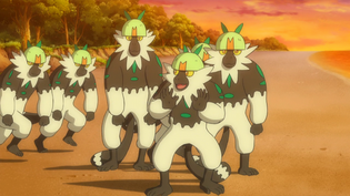 Imagen de Passimian