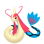 Milotic macho