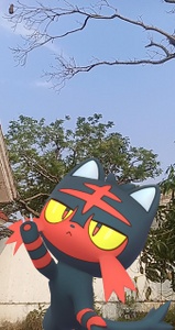 Litten en las instantáneas