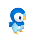 Piplup HOME.png