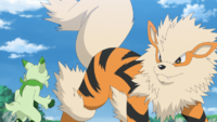 Floragato vs. Arcanine.