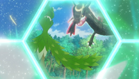 Rayquaza dándole a Arboliva el mensaje de Zygarde.