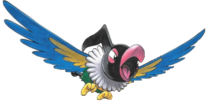 Imagen de Chatot