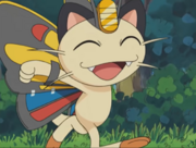 Meowth disfrazado de Beautifly.