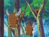 Pinsir