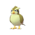 Imagen de Pidgey variocolor en Leyendas Pokémon: Z-A