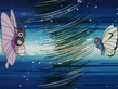 Venomoth