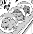 Bulbasaur en PPM001