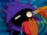 Shellder
