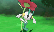 Floette, nuevo Pokémon de tipo hada