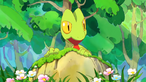 Treecko