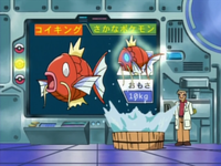 Magikarp del la lección Pokémon usando salpicadura.