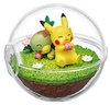 Pikachu Turtwig Pokémon Terrarium Collection.jpg