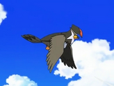 Staraptor