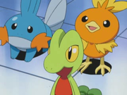 EP310 Iniciales de Hoenn.png