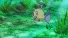 Feebas