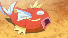 Magikarp