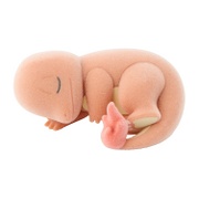 Figura de Charmander (Crepitante)