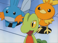 Los iniciales de Hoenn en el EP310.