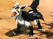 P06 Mightyena.png