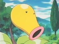 EP172 Bellsprout del anciano (3).png