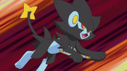 EP635 Luxray de Lectro.png