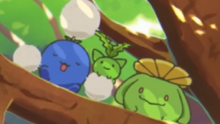 Hoppip variocolor.