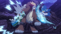 Floragato vs. Entei.