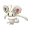 Cinccino