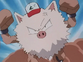Primeape