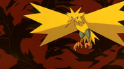 P02 Zapdos.png