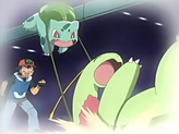 Meganium