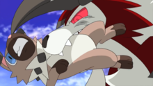 Lycanroc usando triturar.