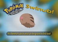 ¿Quién es ese Pokémon?/¿Cuál es este Pokémon?.